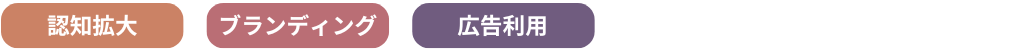 SNSのおすすめの利用用途が認知拡大とブランディングと広告利用